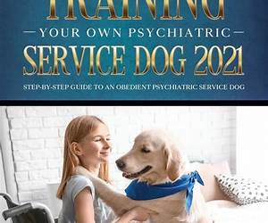 Training Your Own Service Dog 2021 And Training Your Own Psychiatric Service Dog 2021 (2 Books In 1)